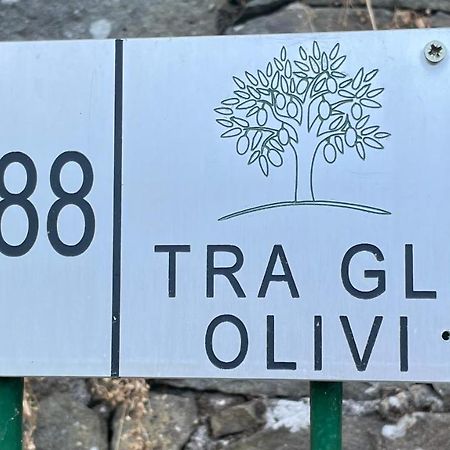 Tra Gli Olivi Apartment Lucca Ngoại thất bức ảnh