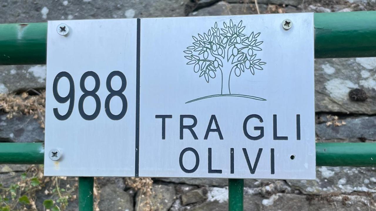 Tra Gli Olivi Apartment Lucca Ngoại thất bức ảnh