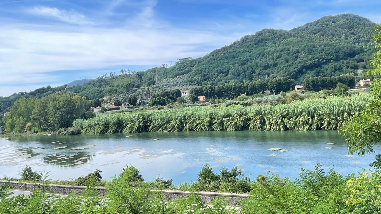 Tra Gli Olivi Apartment Lucca Ngoại thất bức ảnh