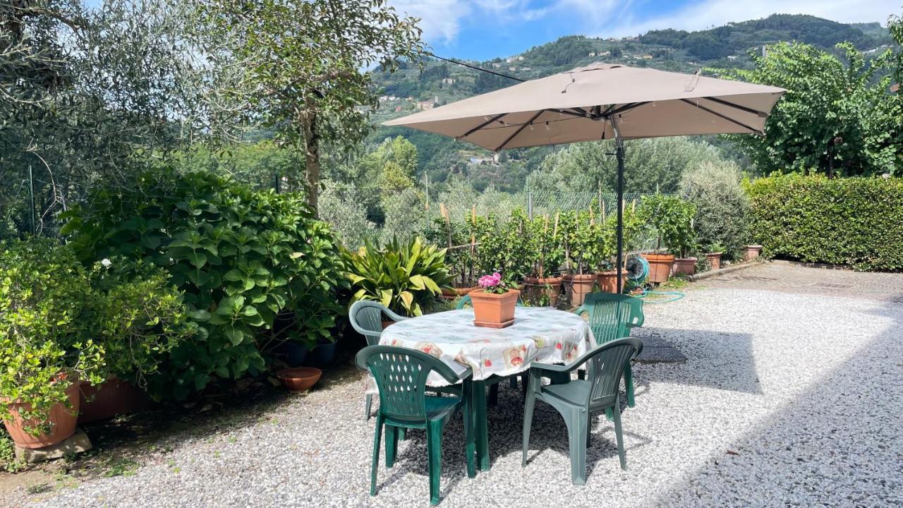 Tra Gli Olivi Apartment Lucca Ngoại thất bức ảnh