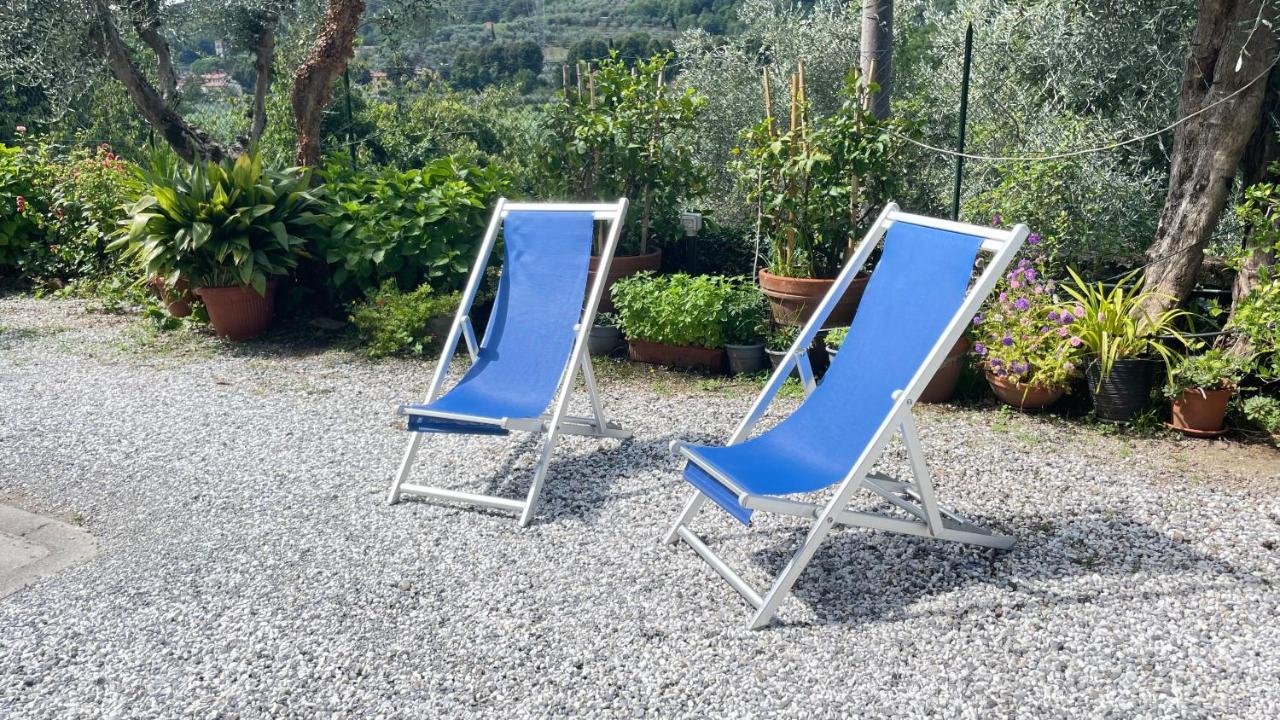 Tra Gli Olivi Apartment Lucca Ngoại thất bức ảnh