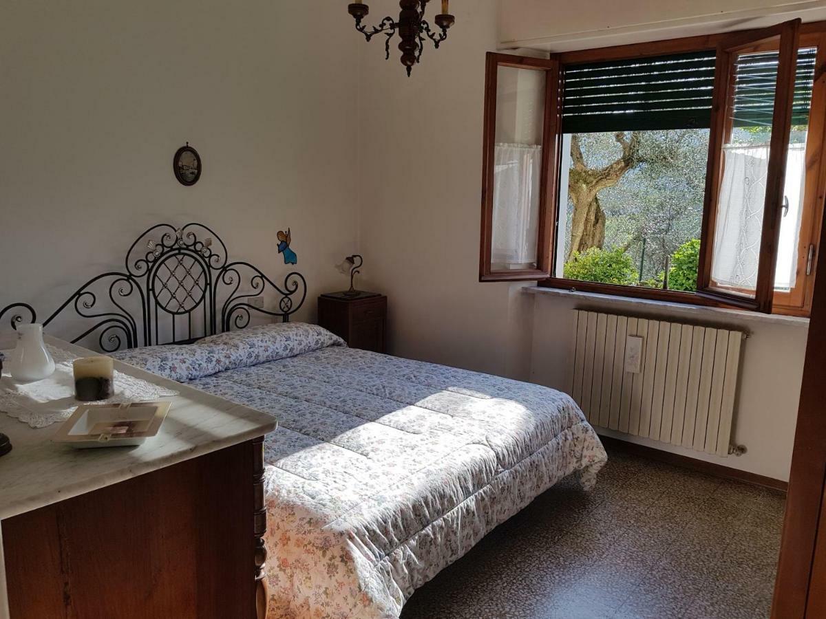 Tra Gli Olivi Apartment Lucca Ngoại thất bức ảnh